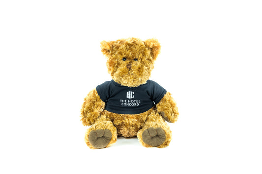 The Hotel Concord Teddy Bear